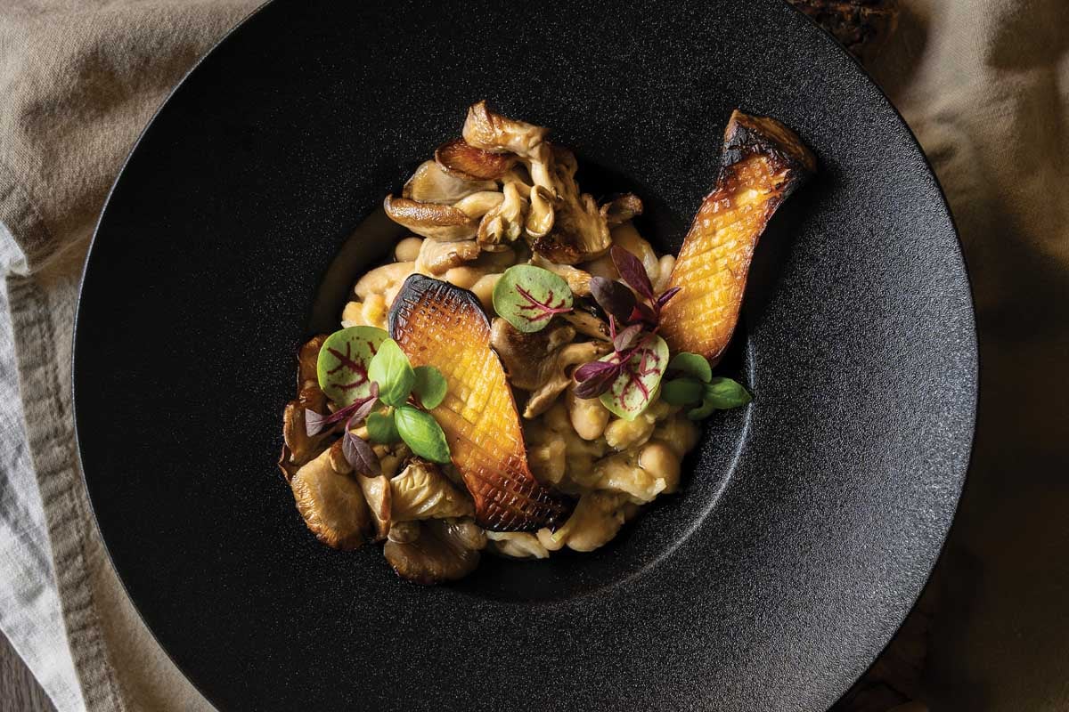 Food from the Forest