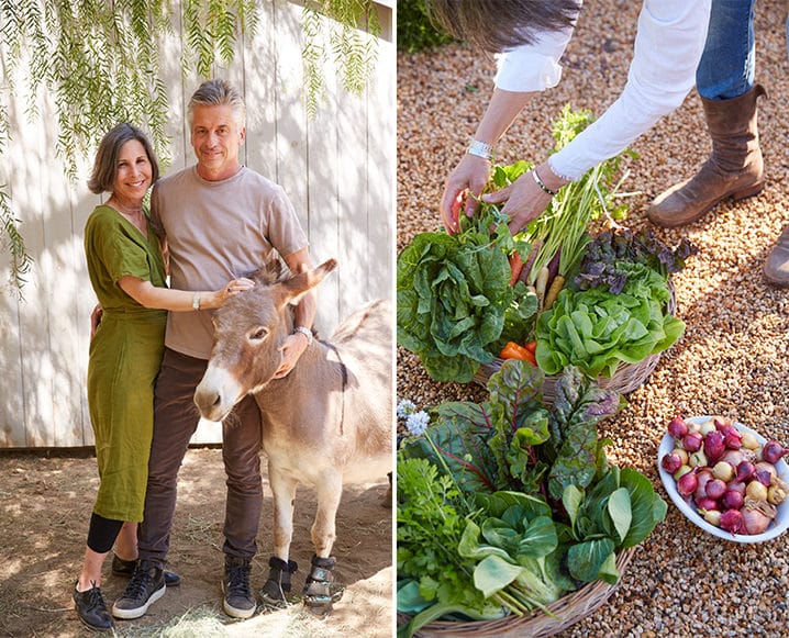 patina farm ojai
