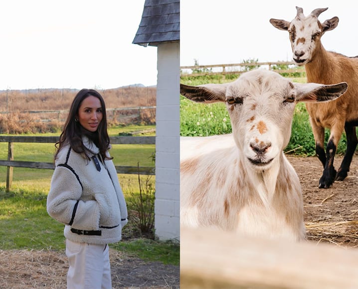 goat farm hudson valley
