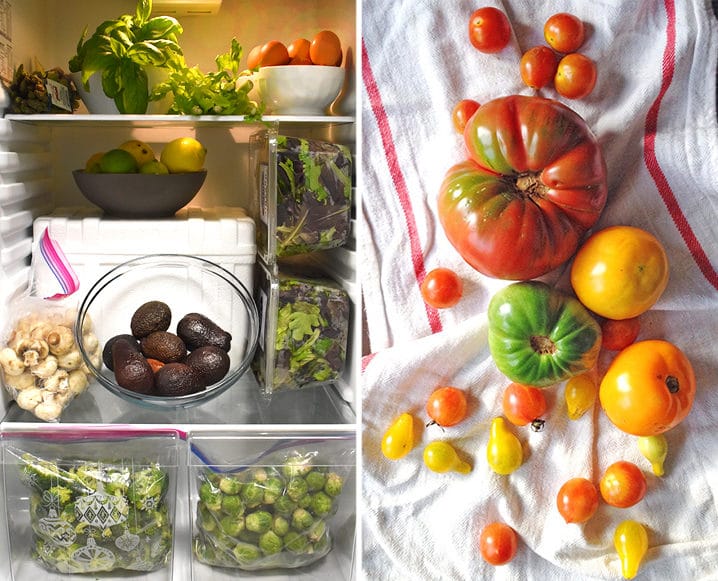 The Gut Health Blueprint: Dr. Gundry’s Comprehensive Approach in ‘Gut Check’