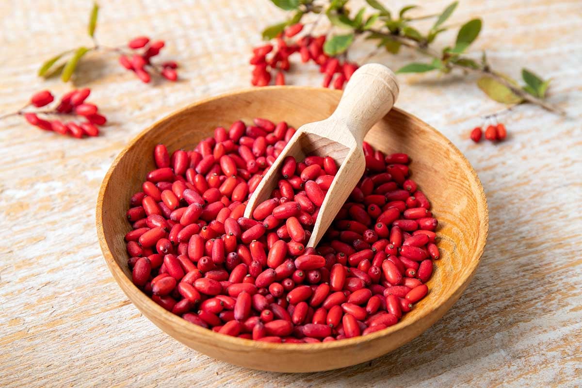 10 Big Health Benefits of Berberine