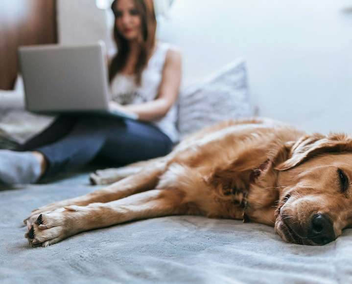 Stress Triad Survival Guide: How Therapy Can Help You Tackle Relationship Drama, Work Burnout, and Home Stress Without Losing Your Mind