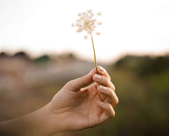 Are We Entering the Golden Age of Alzheimer’s Research? Insights with Dr. Bredesen