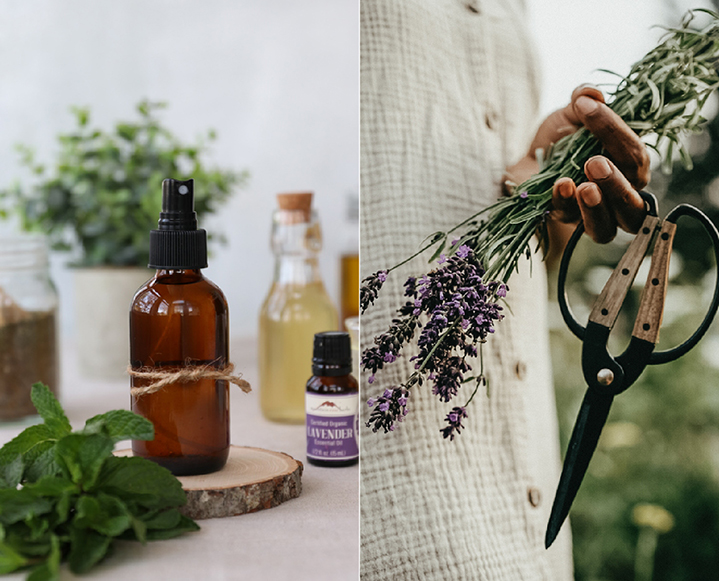 Chill Out, Sunshine: Our Go-To DIY Herbal Spray for Sunburn Relief